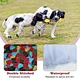 noise maker toy - Pet toy Cute giraffe plush toy, a fun noise maker toy for boredom busting